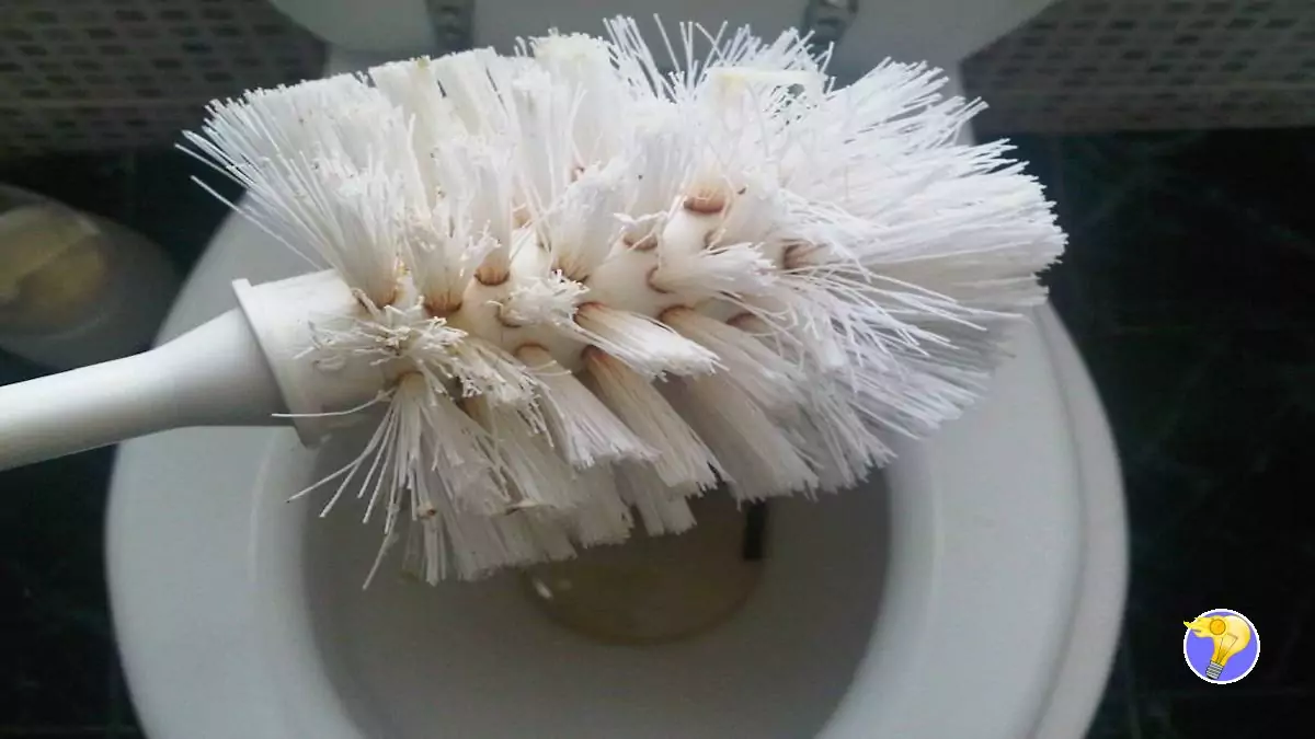 Comment Assainir Et Désinfecter Une Brosse Des Toilettes?